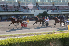 Arcoveggio: corse di domenica, Gran Premio Italia e Gran Premio Italia Filly