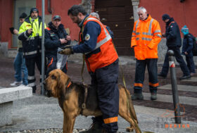 I Cani protagonisti ad Attacchi di Design 2023