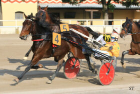 Arcoveggio: presentazione delle corse di giovedì