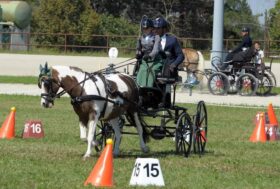 Attacchi: trasferta a Kronenberg per Cordera e Pili