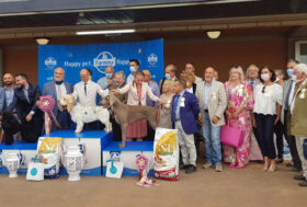 All’Ippodromo del Savio di CESENA l’Esposizione Internazionale Cinofila