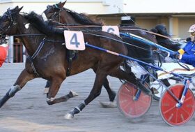 All’ippodromo di Bologna, domenica otto corse con clou in chiusura