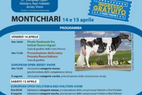 Il meglio della zootecnia bovina da latte alla “due giorni” del ‘Dairy Show’ 2023 a Montichiari