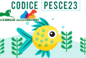 Pesce d’Aprile! oggi e domani sconta ciò che vuoi!