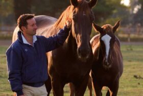 La formazione del puledro secondo il Metodo Naturale. Come stabilire una sana relazione fra uomo e cavallo