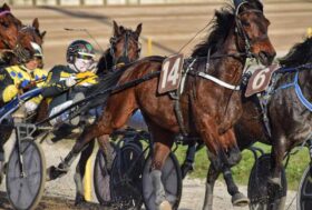 Arcoveggio: presentazione delle corse di sabato 13 maggio