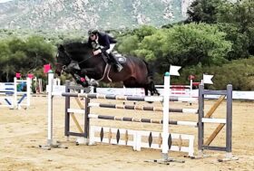 Salto ostacoli: i Campionati Sardi all’Ippopark di Golfo Aranci da venerdì a domenica