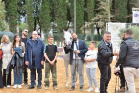 Palermo Arabian Horse Cup, nel medagliere spiccano due allevamenti siciliani