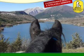 Il CAITPR… La Sentinella dell’Ambiente