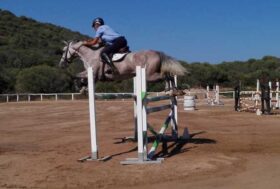Salto Ostacoli: all’Ippopark di Golfo Aranci Tappa Misaf, Campionati Sardi e Trofeo Nuraghi