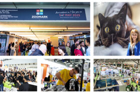 ZOOMARK: CHE SUCCESSO!