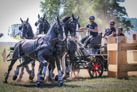 Driver italiani in evidenza in Croazia
