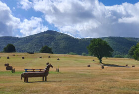 Completo: ai Pratoni del Vivaro in palio i titoli nazionali giovanili