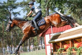 A Millstreet Italia quinta in Coppa. Una vittoria e piazzamenti individuali per gli azzurri