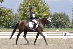 Successo per “Cavalli in Villa” a Mogliano Veneto