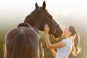 A Pisa focus sulla formazione nella filiera del cavallo e sullo sviluppo dei territori