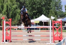 Salto ostacoli: assegnati all’Italia i Campionati d’Europa Ambassador for Veterans 2024 e 2025