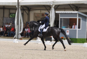 Dressage: Campionati d’Europa Young Riders e U25 – Day#1