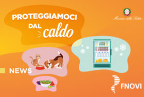 “Proteggiamoci dal Caldo”: FNOVI supporta la campagna del Ministero della Salute