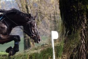 Migliaccio secondo a Kaposvar, Leopardi quarta a Minderhout