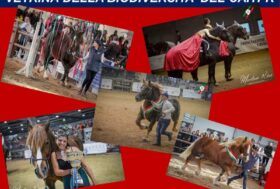 Al via la fase organizzativa della massima Manifestazione di Razza del CAITPR