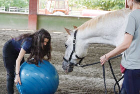 Human Horse Sensing, grande successo al corso tenuto da Alessandra Deerinck a Milano