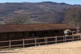 Estate: tutti i cavalli al paddock! con un’adeguata capannina