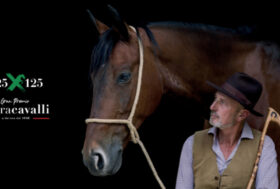 Numeri da record per l’edizione 125 di Fieracavalli