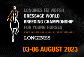 Mondiale di Ermelo: binomi azzurri in evidenza tra i 4 anni