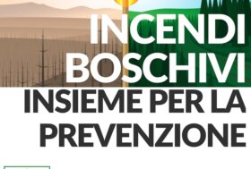 Insieme per la prevenzione degli incendi boschivi. La tua opinione conta | Il questionario Uncem