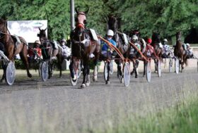 Ippodromo Cesena Trotto: presentazione corse di sabato 5 agosto