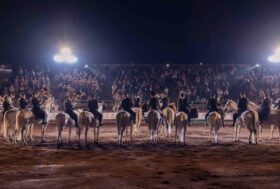 La 53^ Mostra Nazionale del Cavallo di Città di Castello, una edizione ricca di soddisfazioni