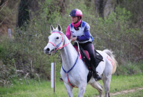 Costanza Laliscia nei Paesi Bassi al Campionato Europeo Senior 2023 di endurance equestre