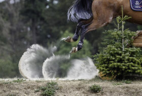 L’Italia chiude al quarto posto la FEI Eventing Nations Cup™ 2024