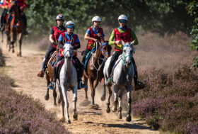 Serioli e Tavassoli Asli nella ‘top ten’ dell’Europeo senior di Ermelo