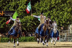 Domani inizia la 53a Mostra Nazionale del Cavallo