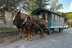 Un esempio d’antan per lanciare un messaggio sostenibile, con i cavalli è ancora possibile