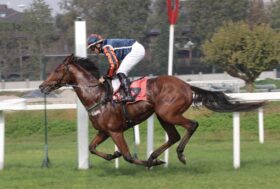 All’ippodromo SNAI San Siro nel mercoledì dedicato ai successi di Falbrav la spunta Parisiamo