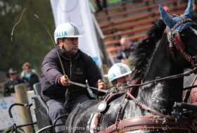 Mondiale pariglie: le prove dei driver azzurri