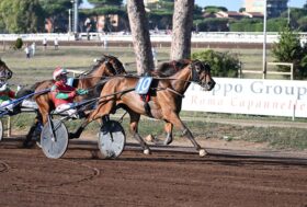 Expo Wise As vince il 96° Derby Italiano del Trotto; Euphoria BI a sorpresa trionfa nelle Oaks