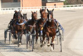 Arcoveggio: presentazione delle corse di giovedì 12 ottobre