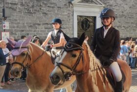 Haflinger: Mostra Interregionale Clusone (BG)