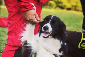 Attacchi Di Design 2023, nuovamente un successo