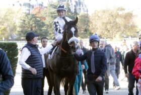 Sabato all’ippodromo Snai San Siro con il St Leger Italiano, il Premio Divino Amore e il Premio Chiusura – Aria Importante