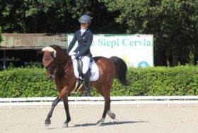 Equitazione, a Cervia la Coppa delle Regioni di Dressage e Paradressage