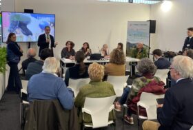 Equiraduno del Giubileo 2025, con i cavalli verso San Pietro