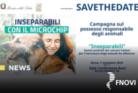 Il consigliere Fnovi Vincenzo Buono relatore al convegno “Inseparabili-Buone pratiche dai comuni italiani per il benessere degli animali da affezione”