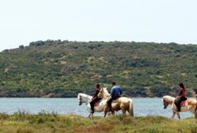 Verona, Final Furlong agli ordini dello starter