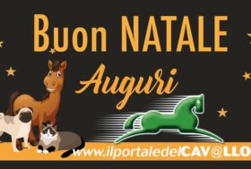 Il Network del Portale vi augura felicità, armonia, pace e amore. Buone feste!