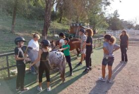 Io sento con il cavallo – nel segno del cavallo